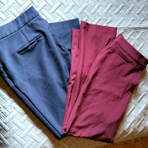 Investments Dress Pants